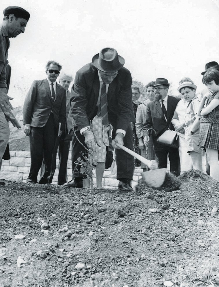 Fotografie: Hannes Bogaard beim Pflanzen eines Baums anlässlich seiner Ehrung in der Gedenkstätte Yad Vashem, Jerusalem, 22. Oktober 1963