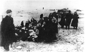 One of the photos of the mass execution in Liepāja that David Zivcon found in the home of SS Commandant Karl-Emil Strott, 1941.