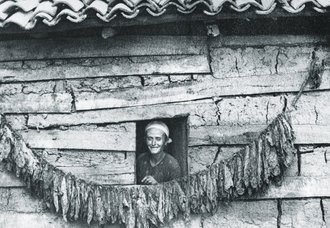 Fatima Veseli, Refik Veseli’s mother, with dried tobacco hanging from her house in Kruja, 1943.