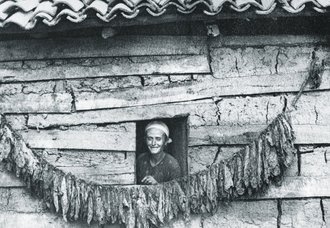 Fotografie: Fatima Veseli, Refik Veselis Mutter, mit getrocknetem Tabak an ihrem Haus in Kruja 1943