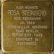 Stolperstein cobble for Rosa Steinberg, installed in Emden, June 10, 2017.